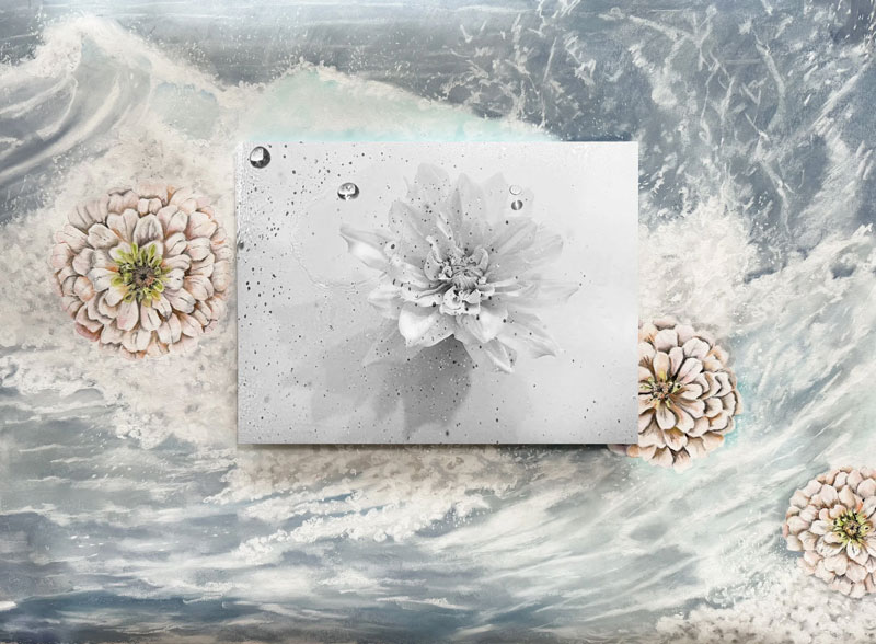 The Blooming of Froth, pastel on paper, mounted photograph, 28” x 38”