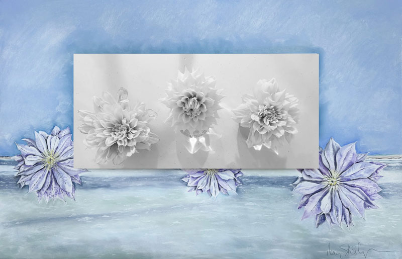 The Luminescence of Light, 27” x 43”, pastel on paper, mounted photograph