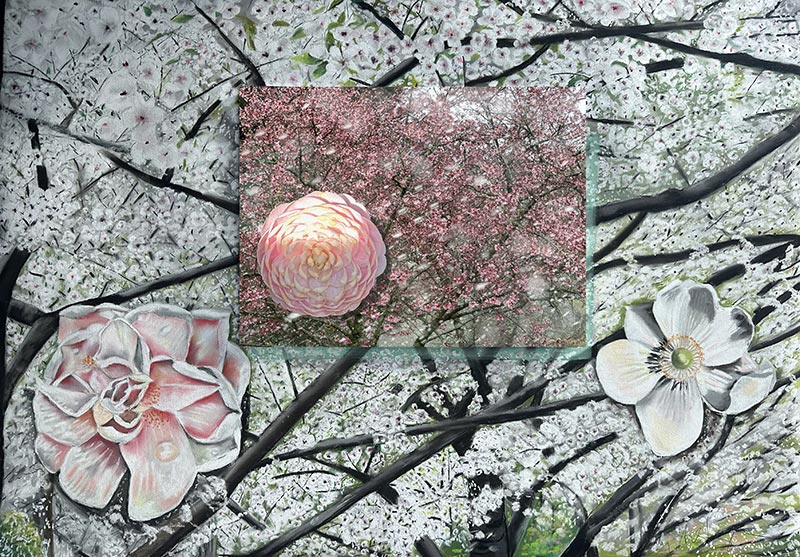 The Blossoming Flurry, pastel on paper, mounted photograph 30" x 43"