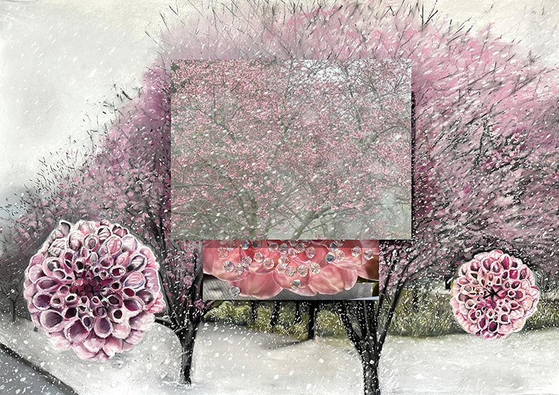 The Phenomenon of the Spring Snow, pastel on paper, mounted photograph, 26 x 38