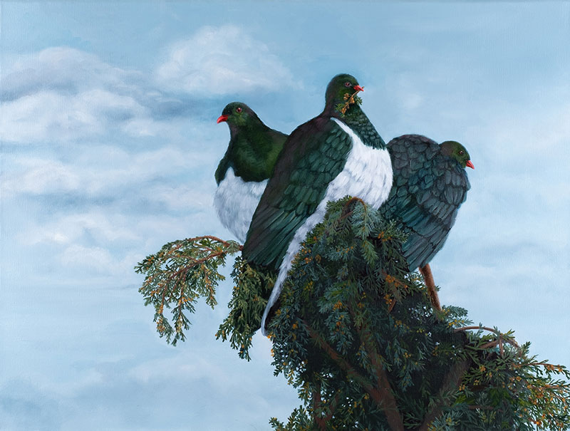 Together - NZ Kereru, oil on canvas, 30 x 20"