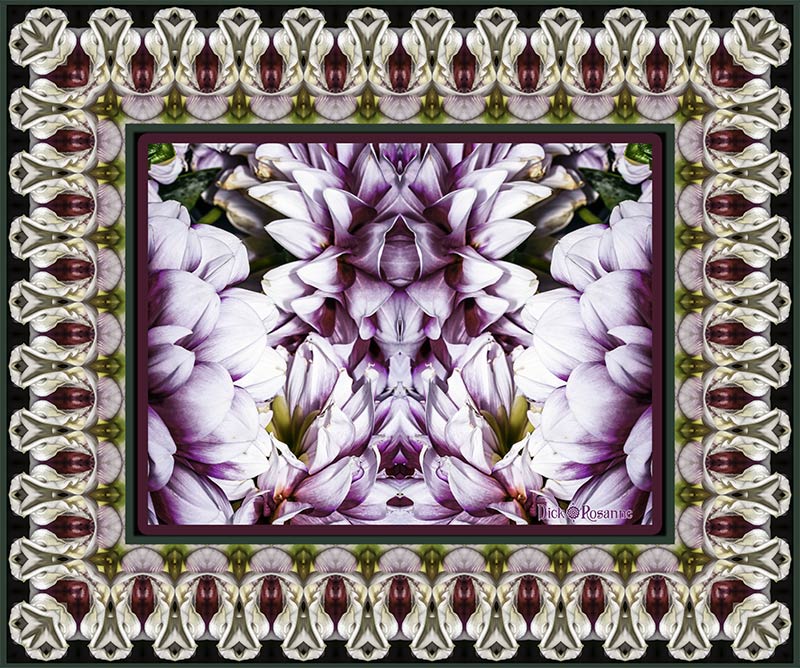 Owls Queuing to Portal, Digital Photography 72 x 54 available in smaller sizes