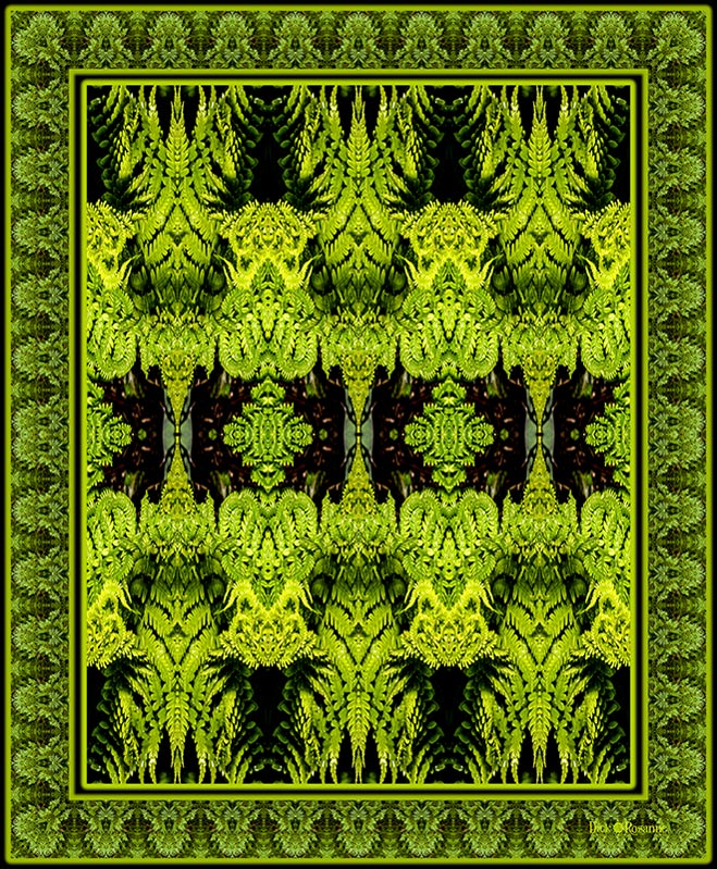 Fern Fantasy, digital photography, 66” x 80”. Smaller sizes are available.