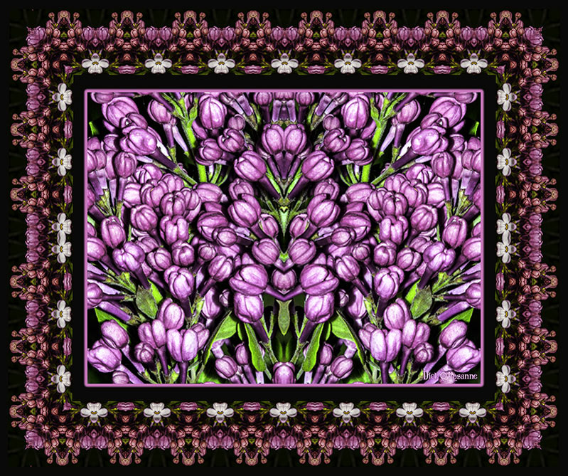 Lovely Lilacs, digital photography, 43” x 36”. Smaller sizes are available.