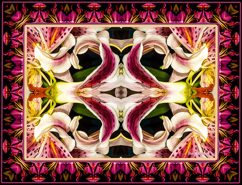 Vision Quest, digital photography, 55” x 42”. Smaller sizes are available.