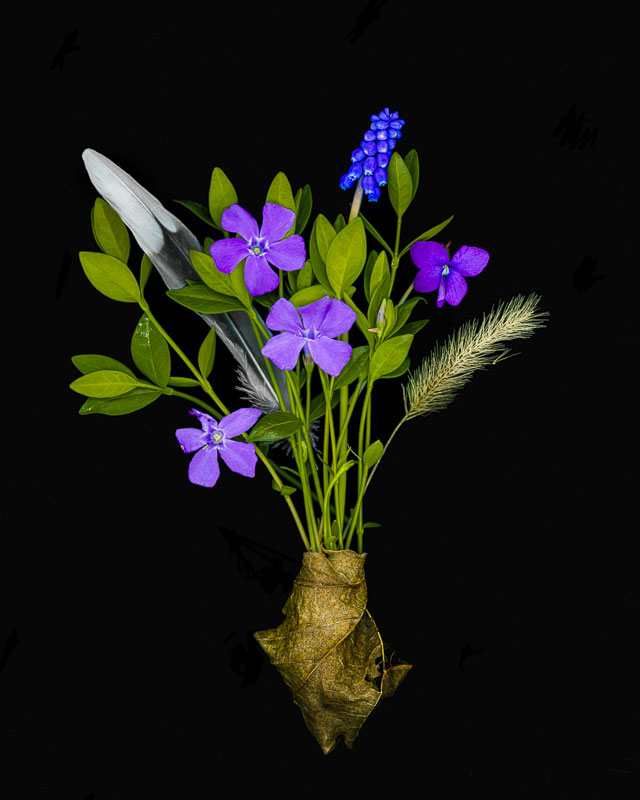 Periwinkle and Hyacinth, scanner photography, size is variable