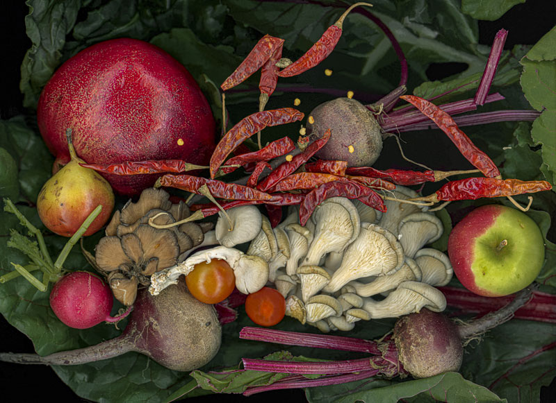 A Strange Mix, scanner photography, available in different sizes