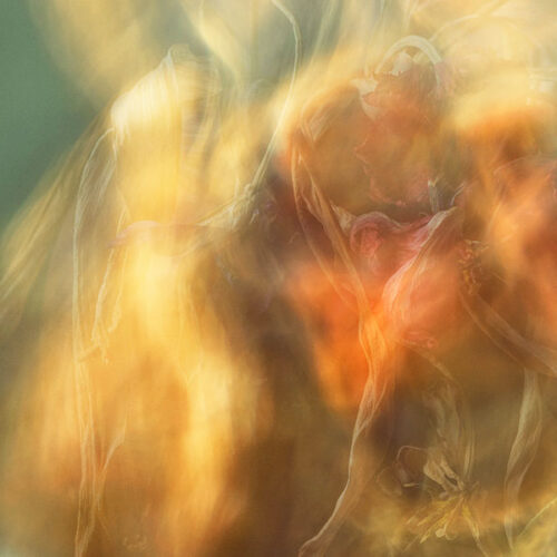 Fall Memories, Photography/Archival Pigment Print, 18in x 27in