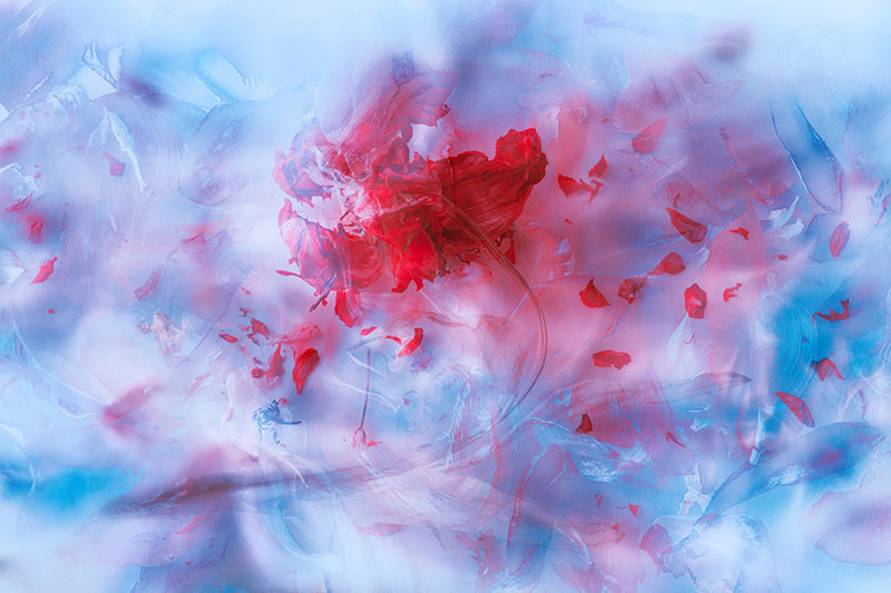 Beyond Silence, Photography/Archival Pigment Print, 18in x 27in by Susanna Patras