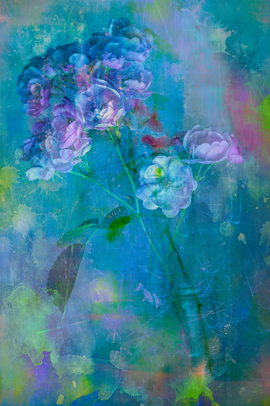 Colors of My Dreams, photography and digital painting, archival pigment print, 27” x 18”