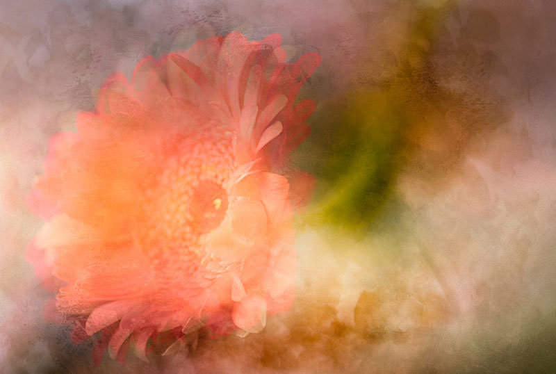 Zen Summer, photography, archival pigment print, 18” x 27”