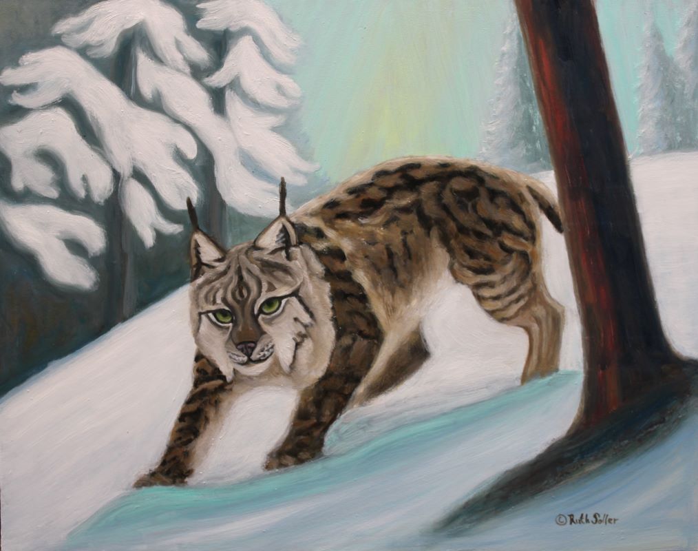 Canadian Lynx in Snow, oil on panel, 11x14