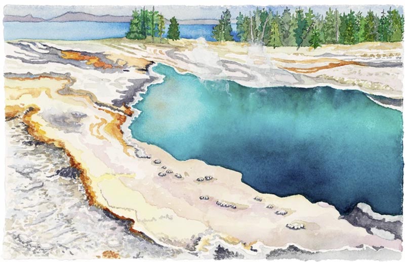 Gasp (Yellowstone), watercolor by Beth Shadur
