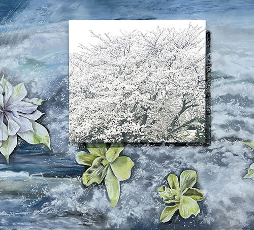 The Blossoming of Froth, pastel on paper, mounted photograph, 31 x55 by Nancy Staub Laughlin