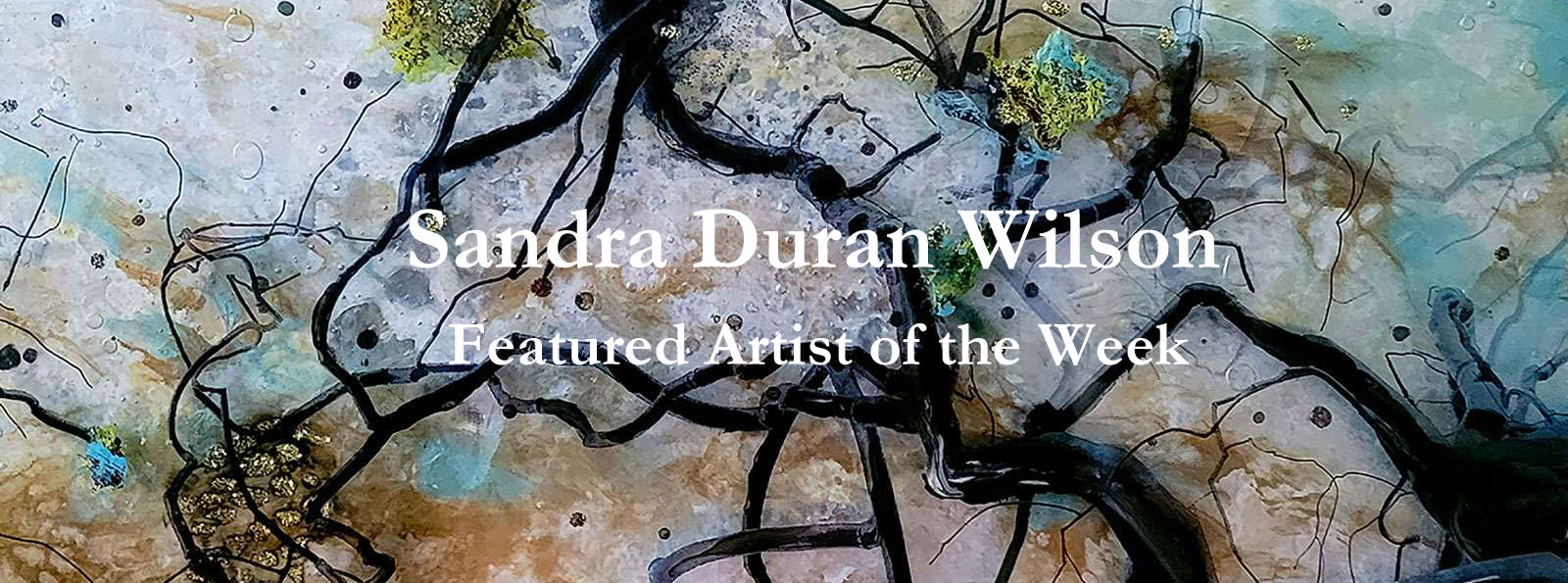 Sandra Duran Wilson