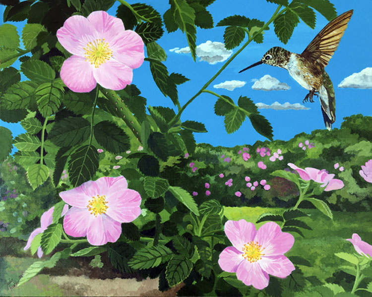 Hummingbird with Wild Roses, acrylic on canvas, 20" x 16"