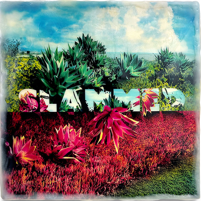 Lisa Marie Kwesell, Check In / Check Out – SLAMMED