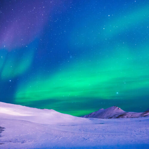 Nature 2026 Banner
