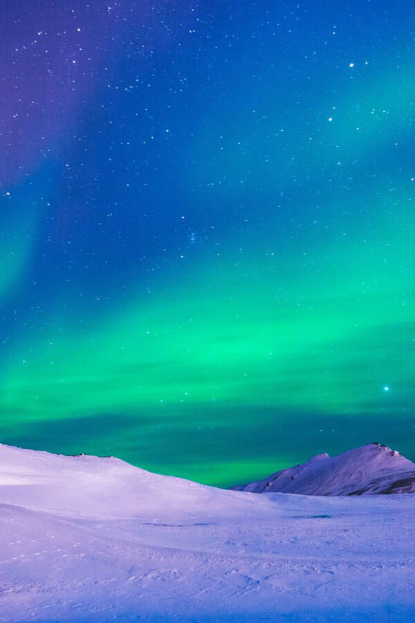 Nature 2026 Banner
