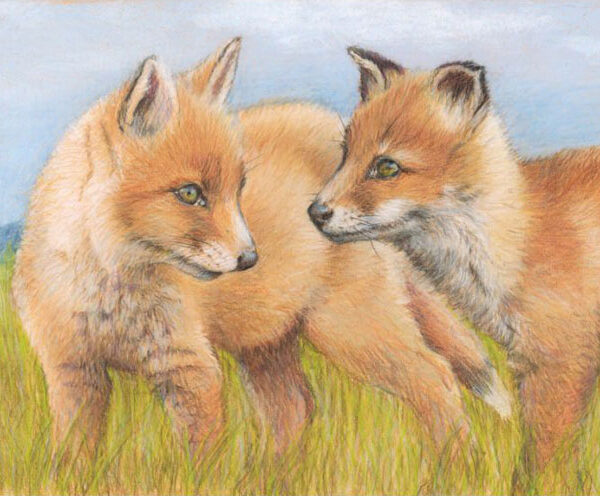 Nature Exhibition Banner