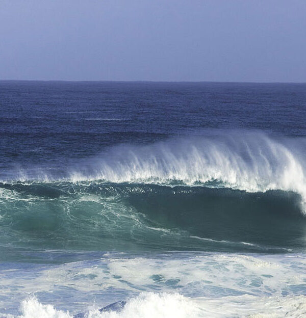Charles N. Murphy Maui photograph