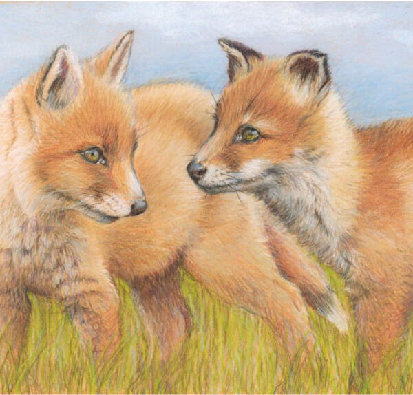 Art Inspired by Nature
