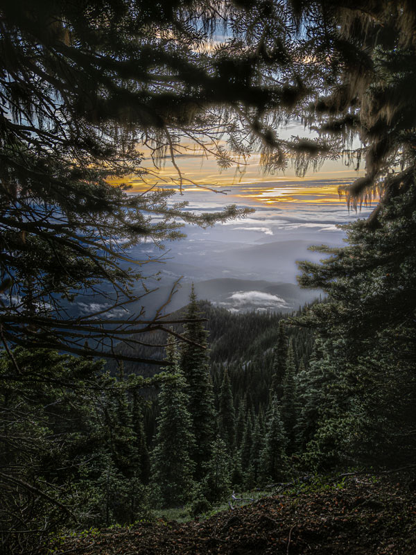 A View from Deer Park, photography, available in various sizes