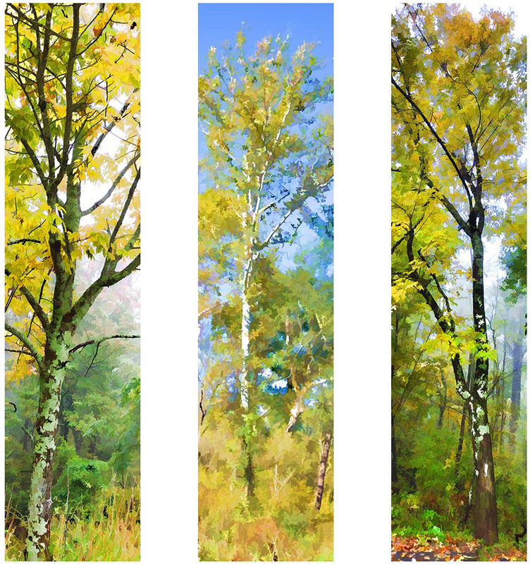 Yellow grouping by Alison Thomas
