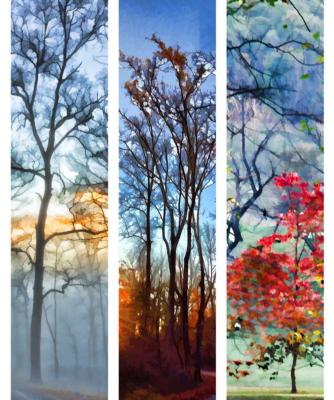 “Blues and Oranges” series: “Blue Fog”, “Last Leaves”, and “Dancing in the Light”, digitally modified photographs, two different sizes available in print only or framed.